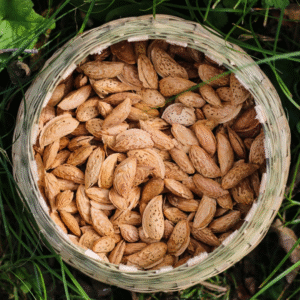 Kagazi Badam (500 gms)